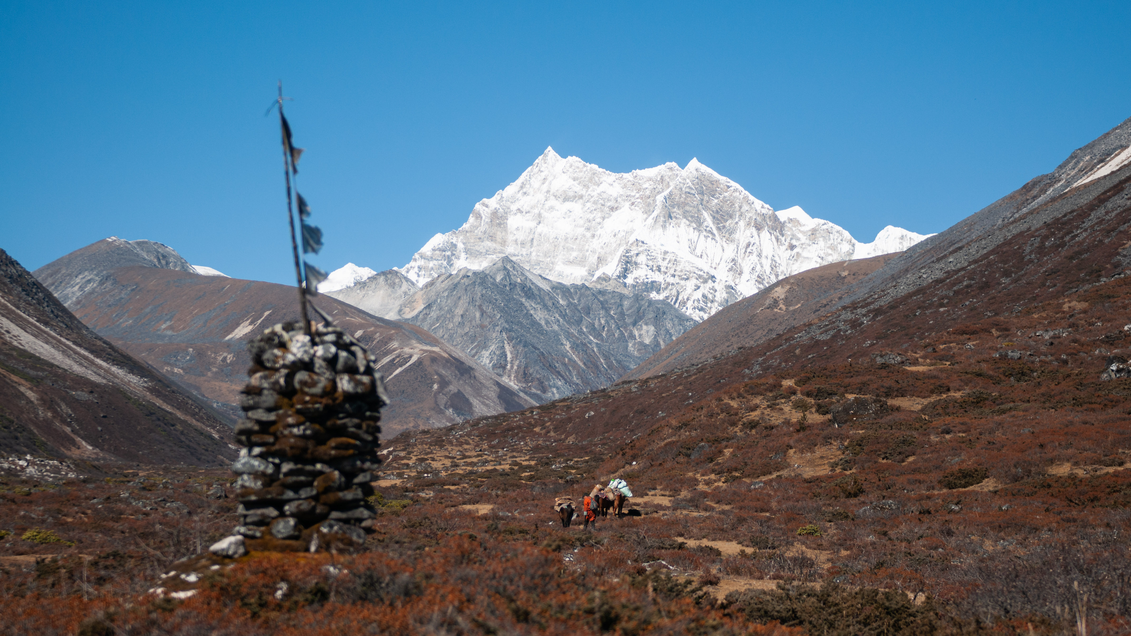 Gangkar Puensuem Trek